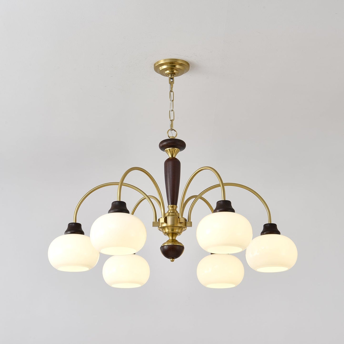 Arched Globe Pendant light Chandelier