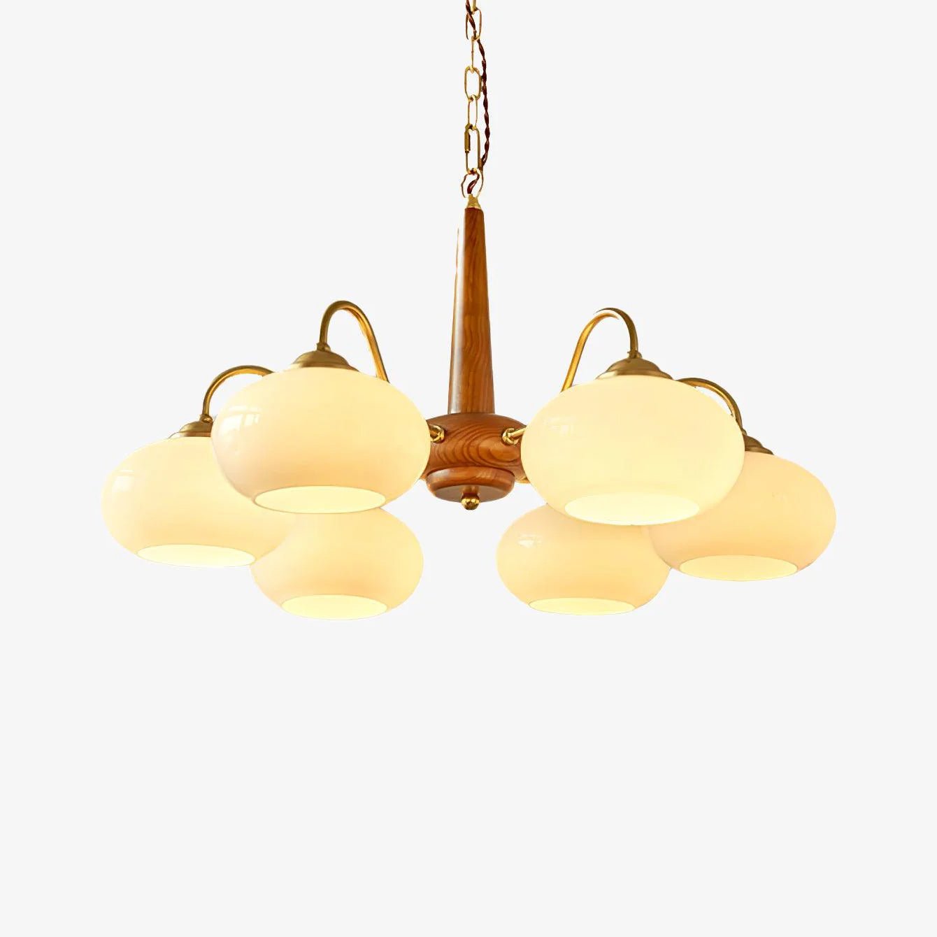 Persimmon Pendant light Chandelier