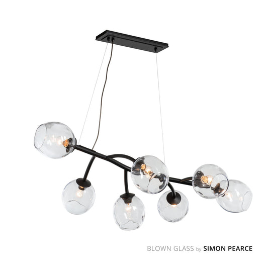 Vine Pendant 7-Light Clear Glass (ZM) in Black