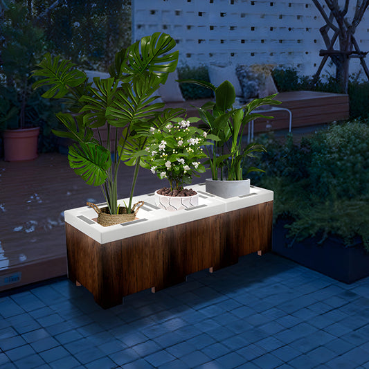 Illuminated Planters – Ceenwe