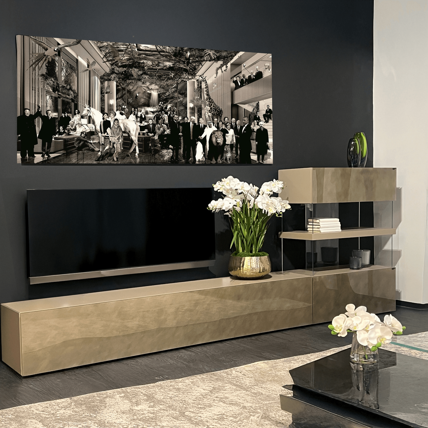 Air Wall/Entertainment Unit