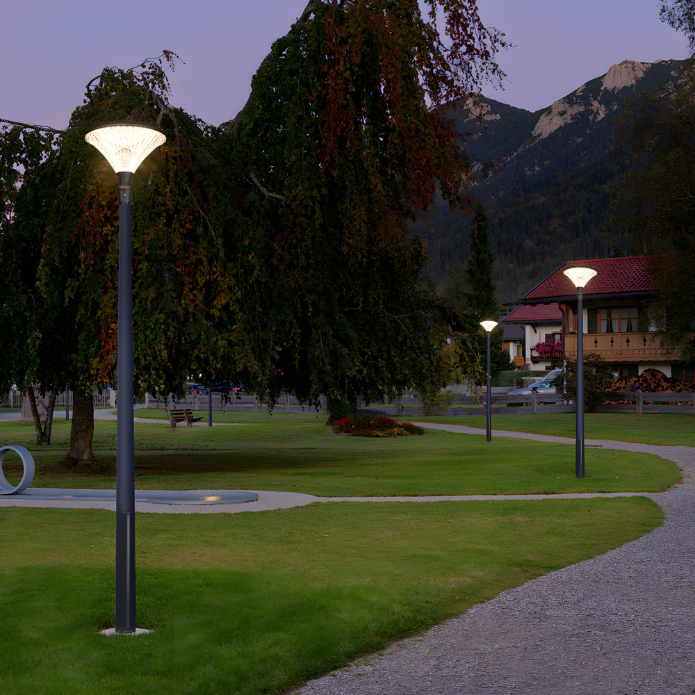 1-Light Black Outdoor LED Solar Lamp Post and Pole Street Light