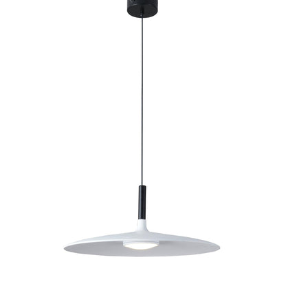 Aplomb Metal Houselight Pendant Lamp