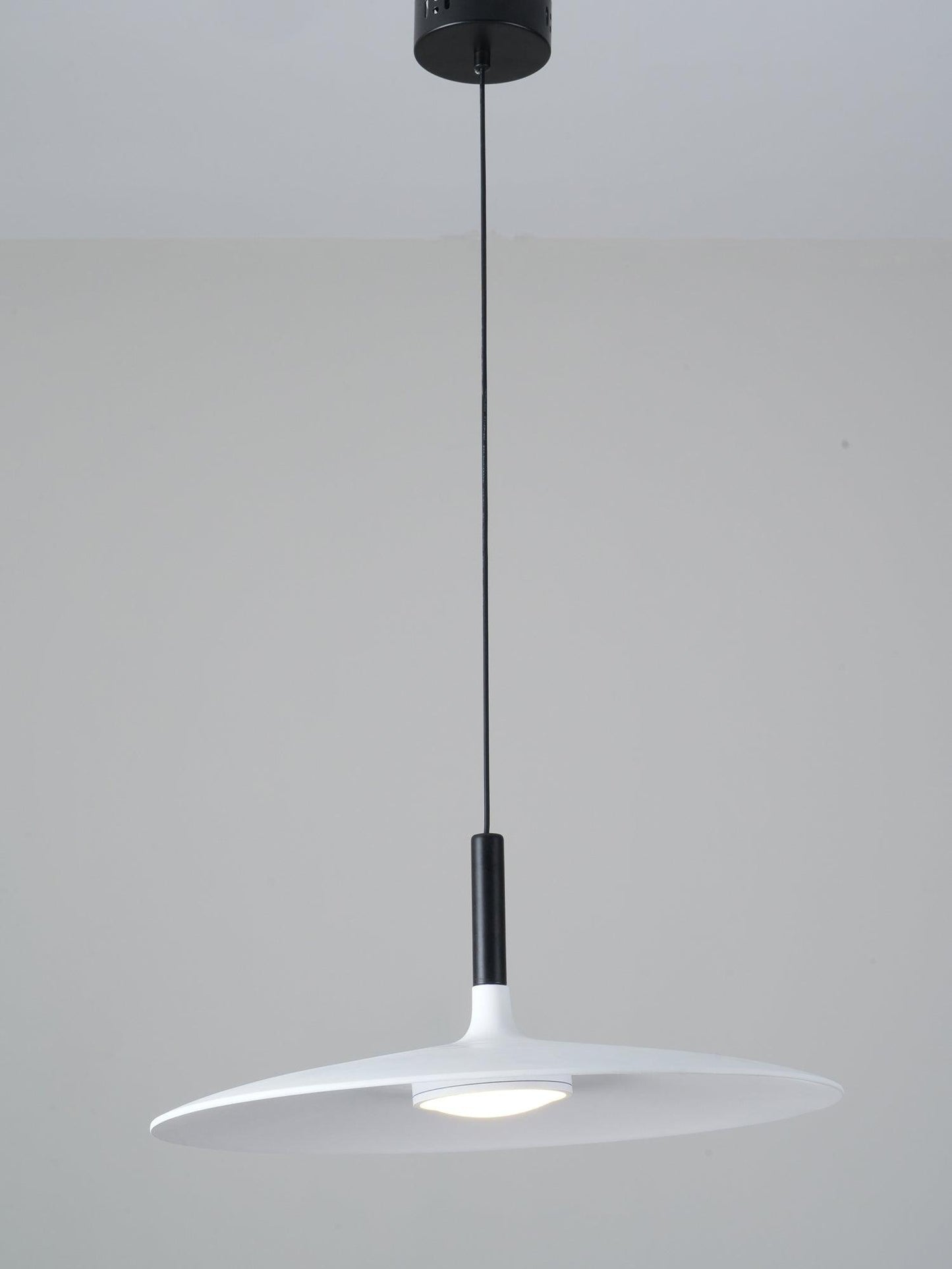Aplomb Metal Houselight Pendant Lamp