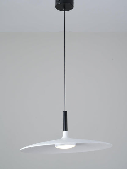 Aplomb Metal Houselight Pendant Lamp