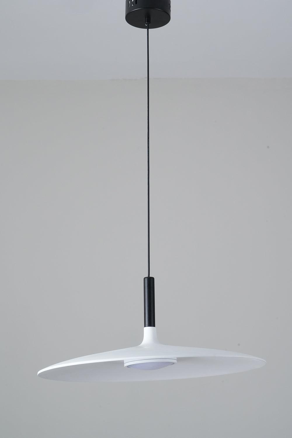 Aplomb Metal Houselight Pendant Lamp
