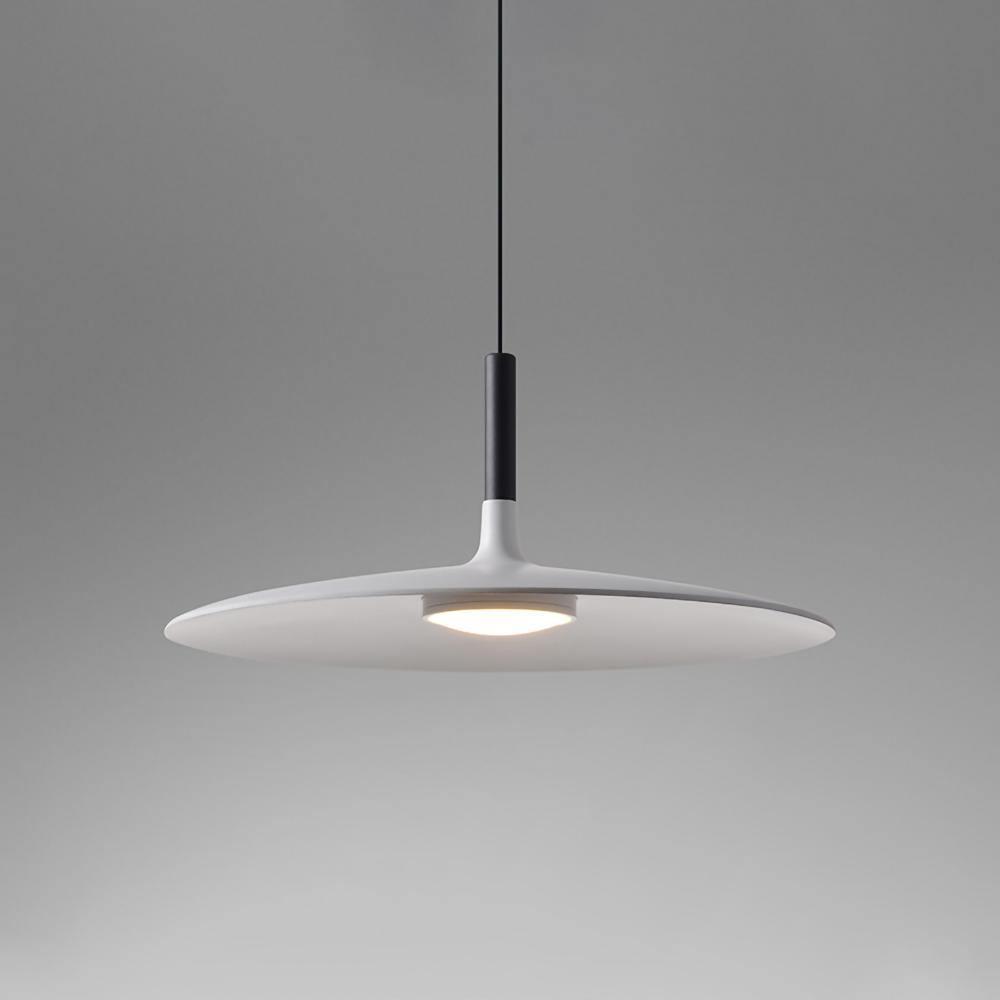 Aplomb Metal Houselight Pendant Lamp