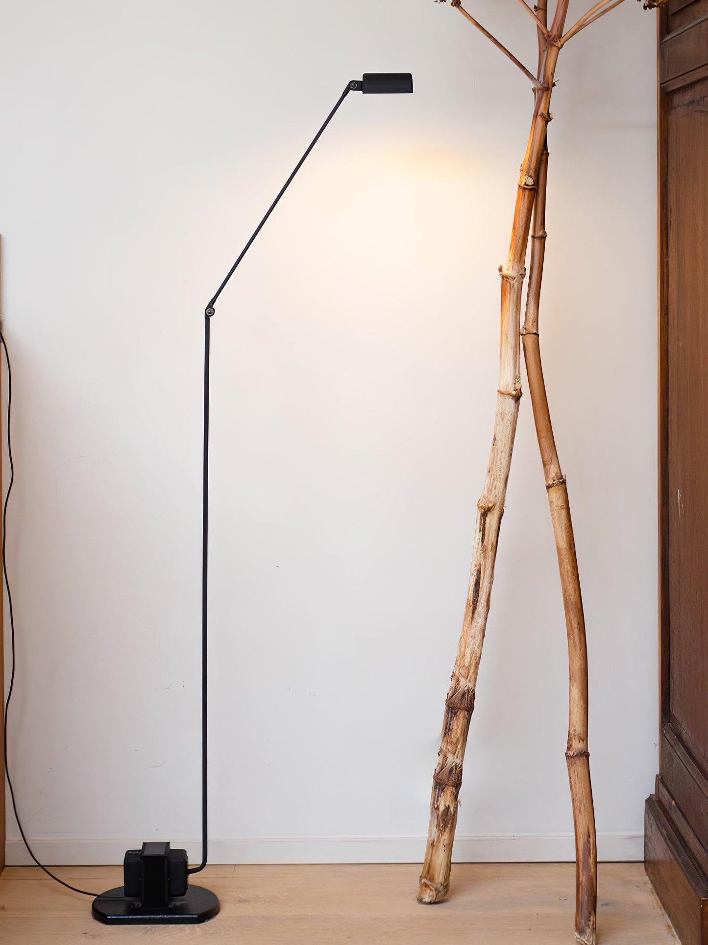 Dynamo Free-standing Lamp Floor Lamp