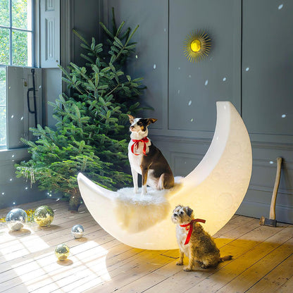 My Moon Tall Lamp Floor Lamp