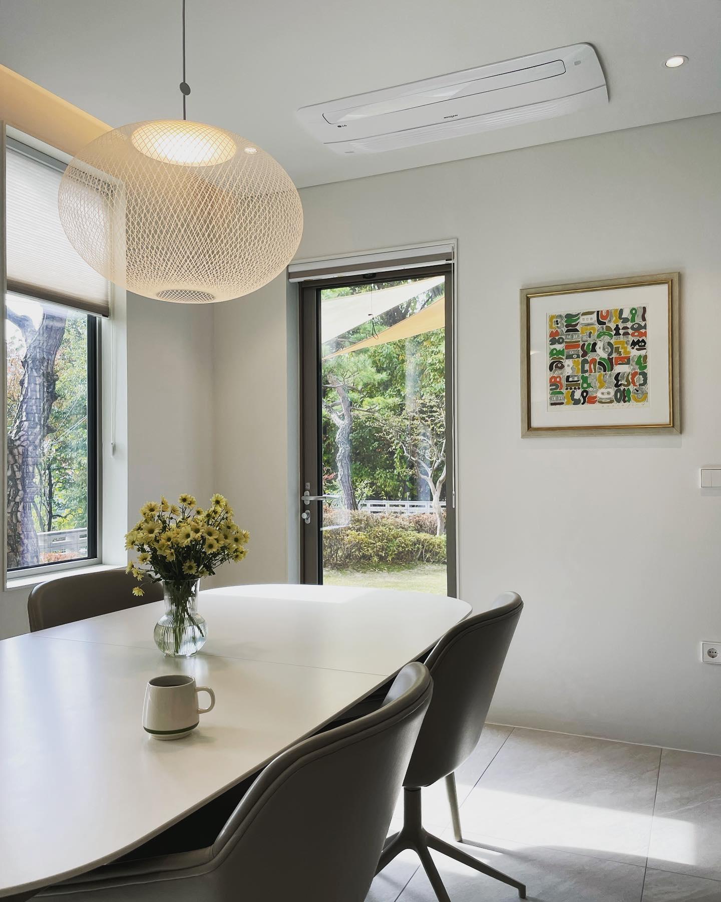 Metallic Meshwork Hanging light Pendant Lamp