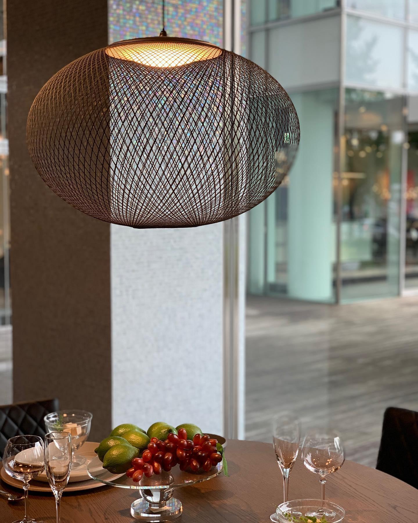 Metallic Meshwork Hanging light Pendant Lamp