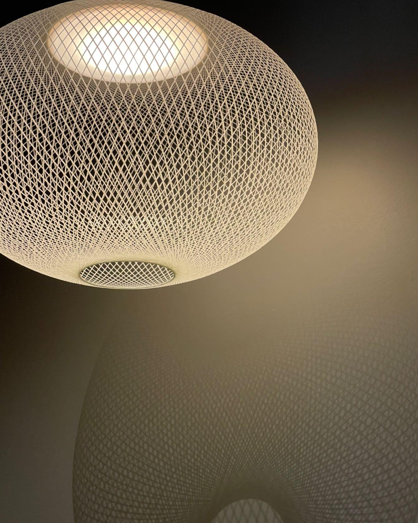 Metallic Meshwork Hanging light Pendant Lamp