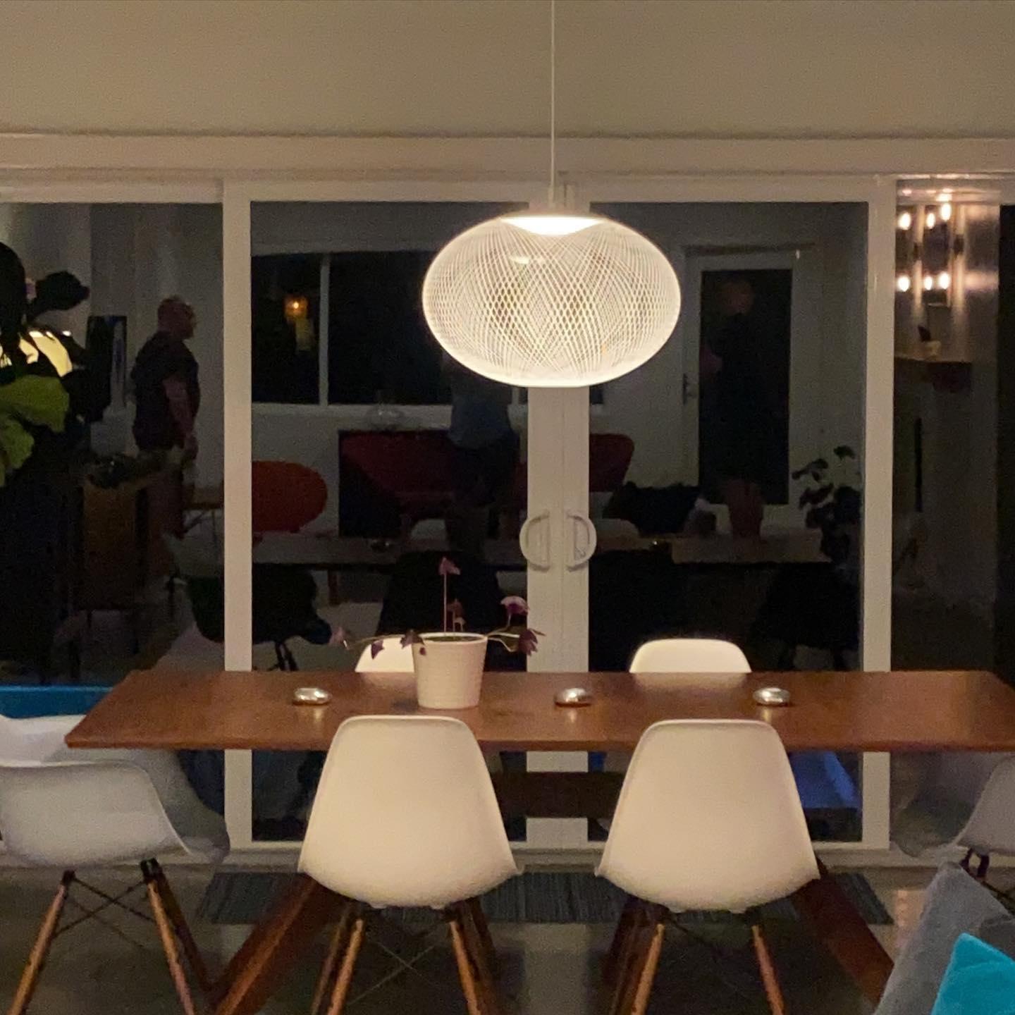 Metallic Meshwork Hanging light Pendant Lamp