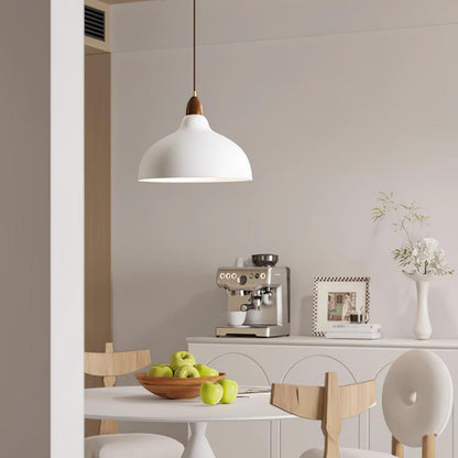 Natural Rustic Droplight Pendant Lamp