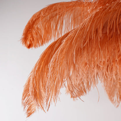 Ostrich Feather Brass Standing Lamp Floor Lamp
