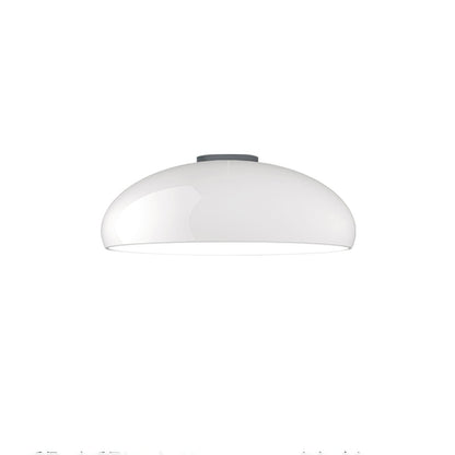 Pangen Overhead light Ceiling Lamp