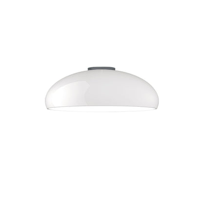 Pangen Overhead light Ceiling Lamp