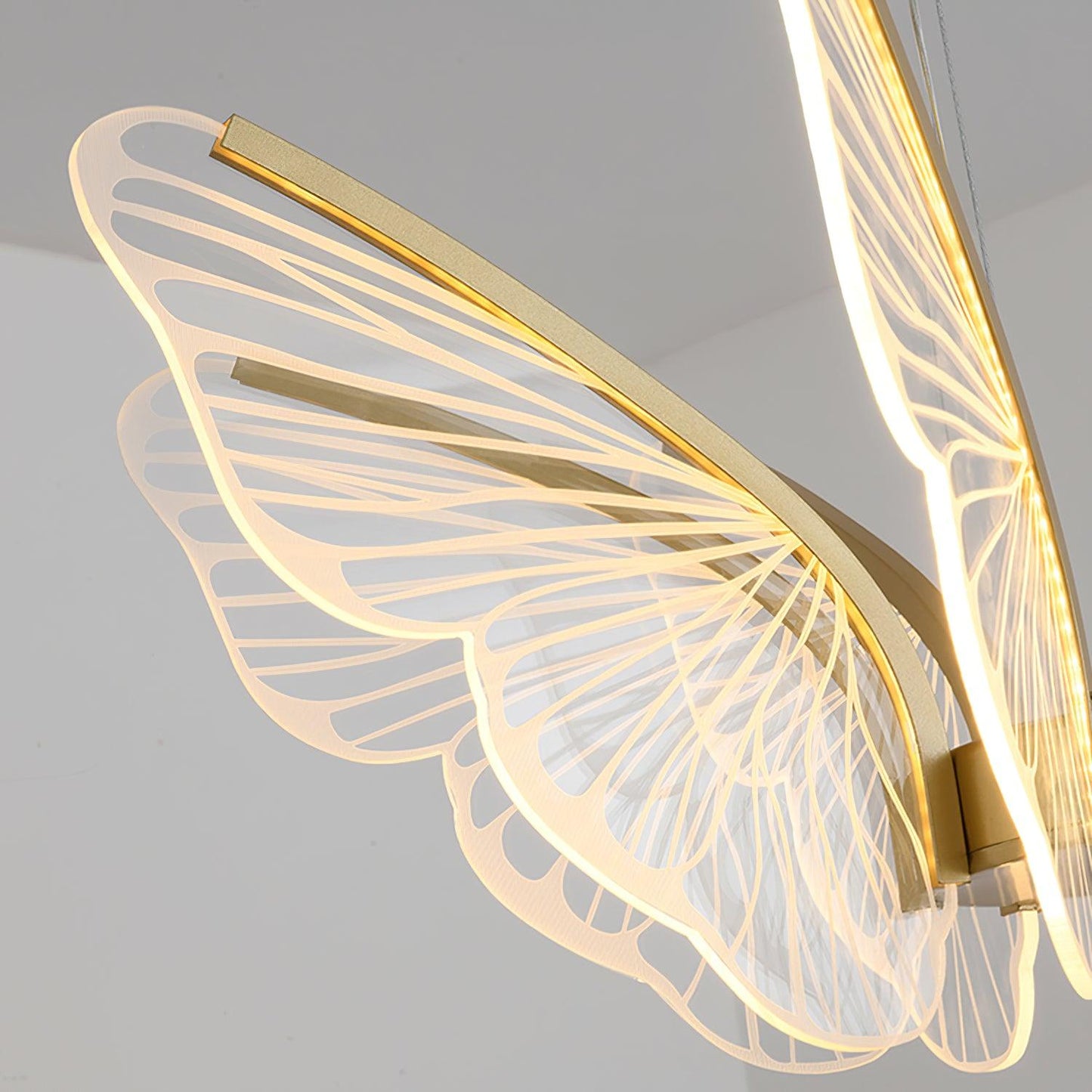 Phalaenopsis Pendant light Chandelier