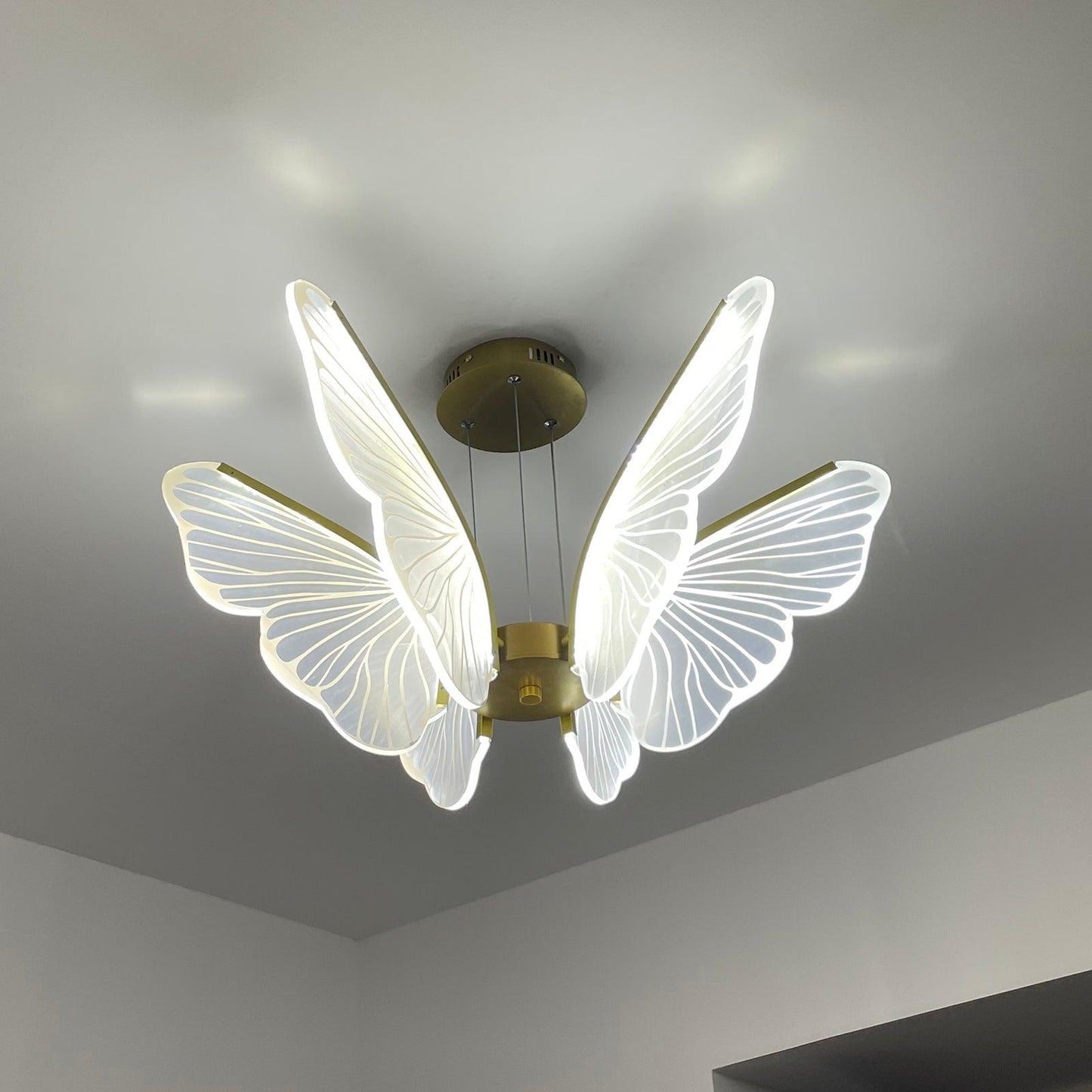 Phalaenopsis Pendant light Chandelier