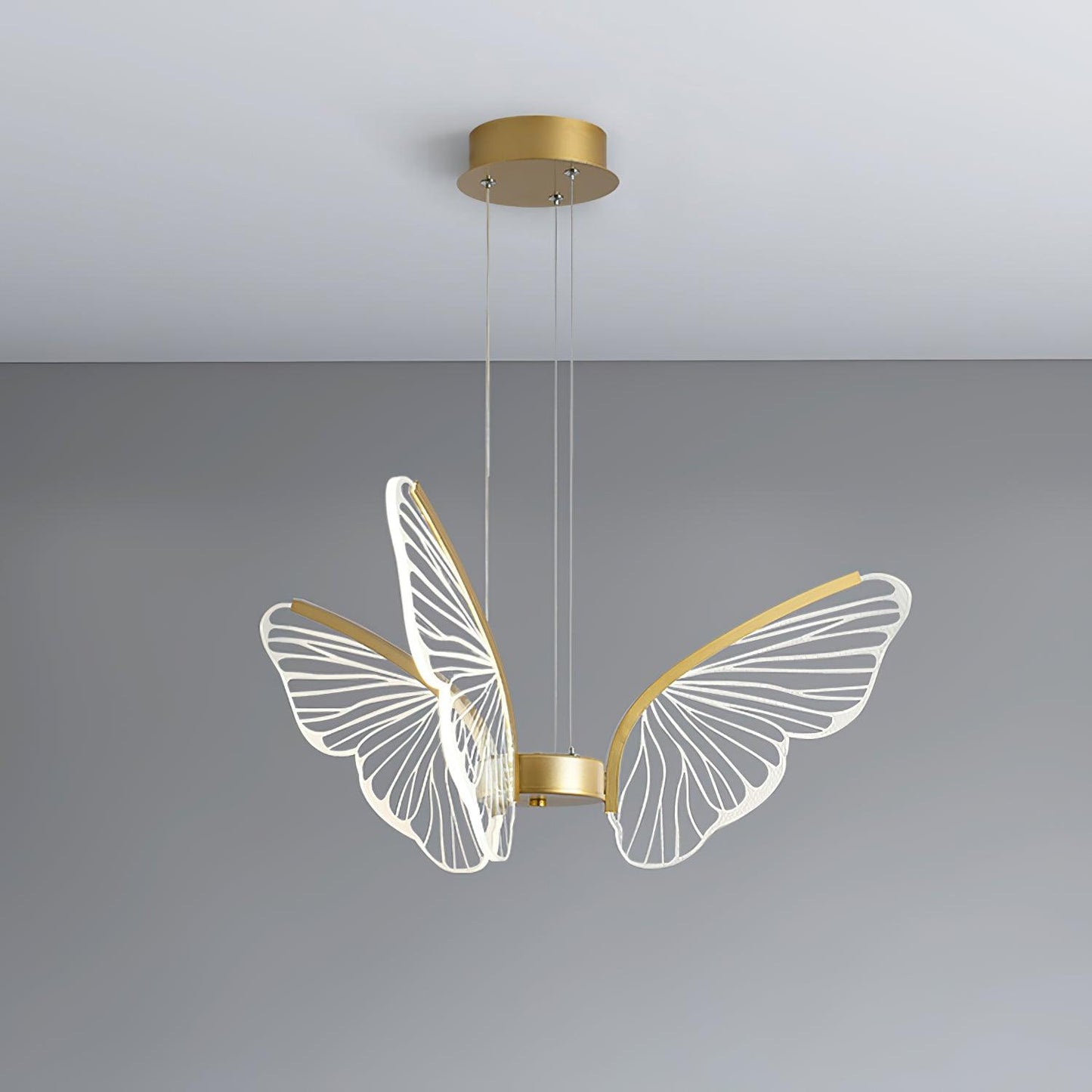 Phalaenopsis Pendant light Chandelier