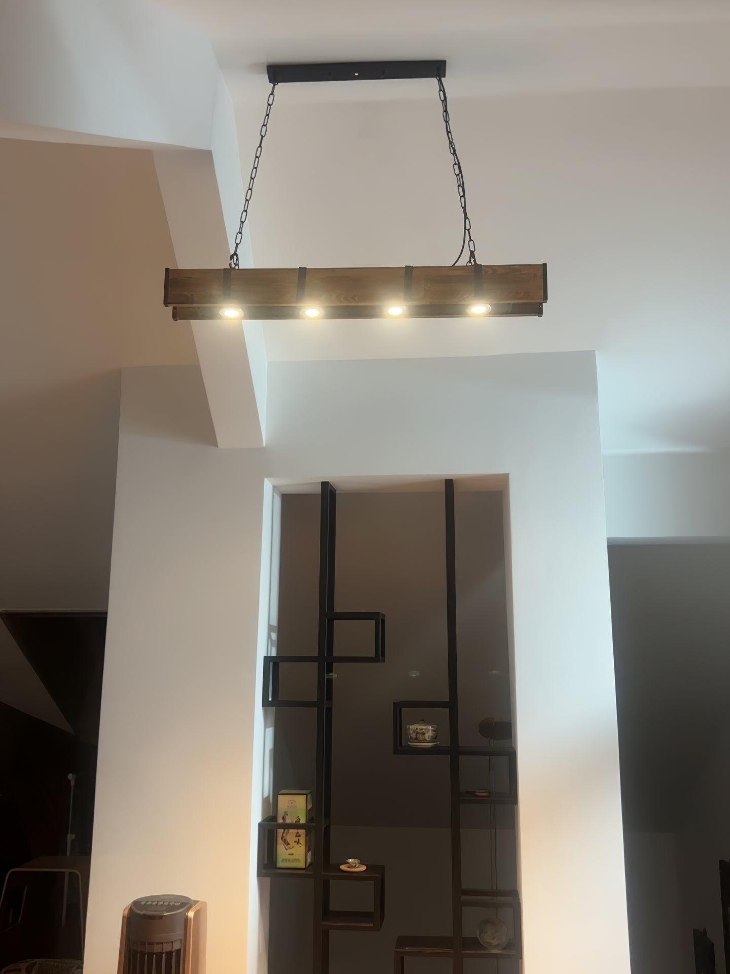 Pleva Electrolier Chandelier