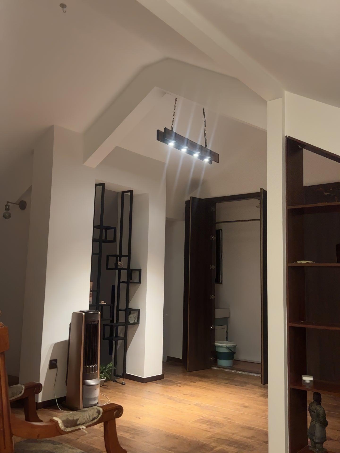 Pleva Electrolier Chandelier