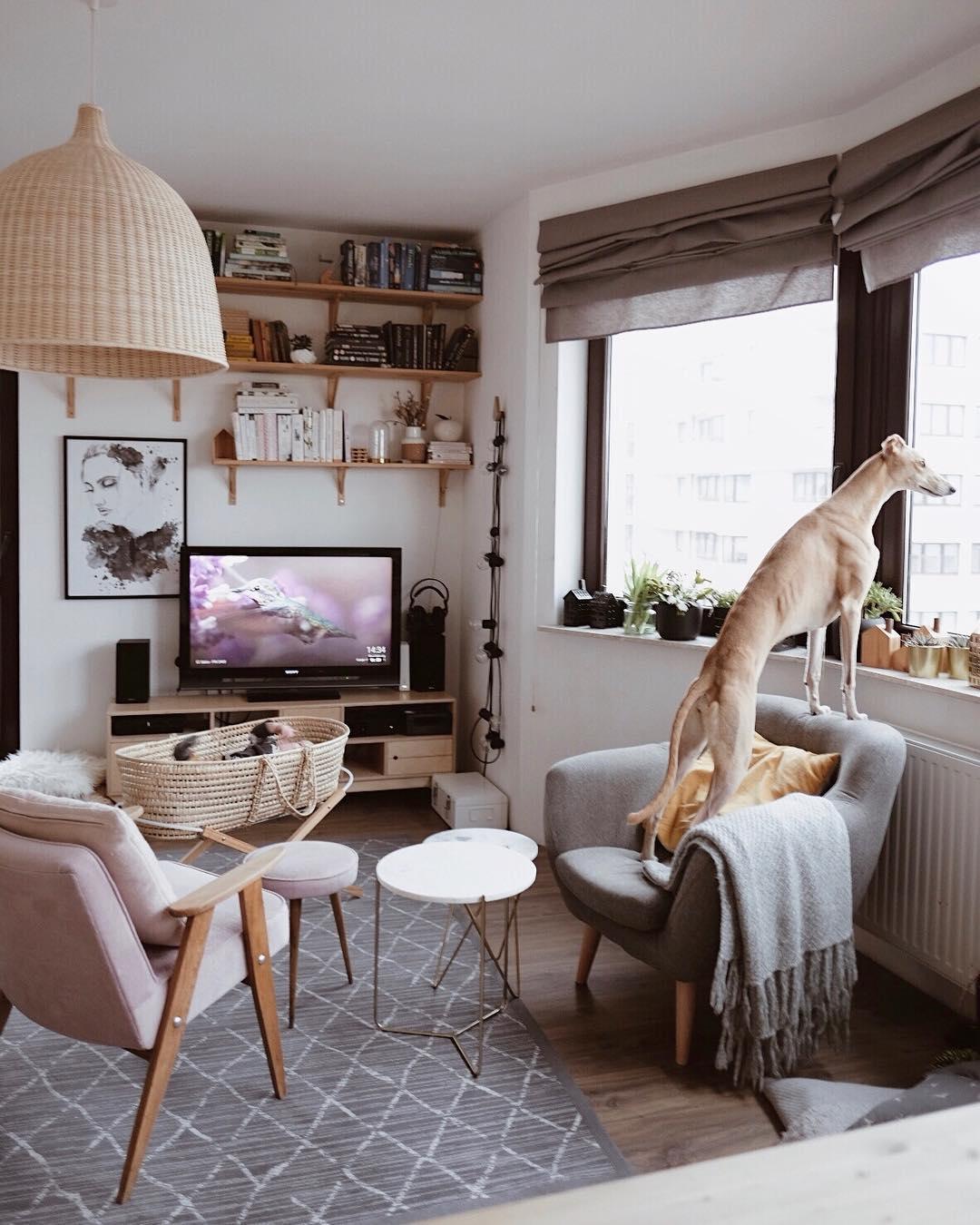 Rattan Hanging light Pandent Light