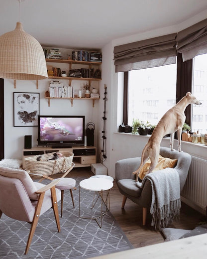 Rattan Hanging light Pandent Light