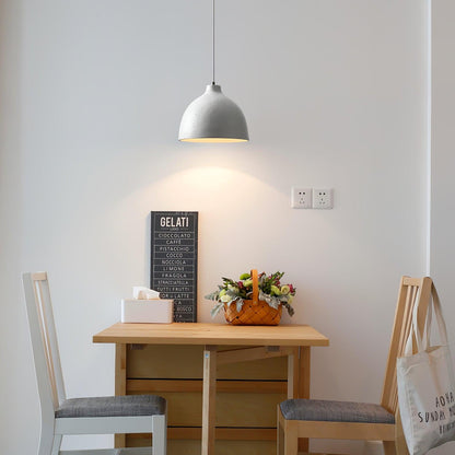Resin Bowl Drop light Pendant Lamp