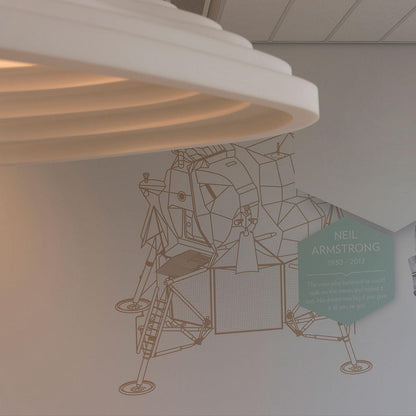 Rice Field Ceiling light fitting Acoustic Lamps