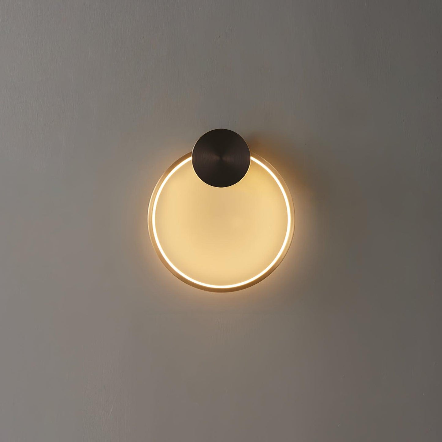 Ring Shaped LED Bracket light Wall Light