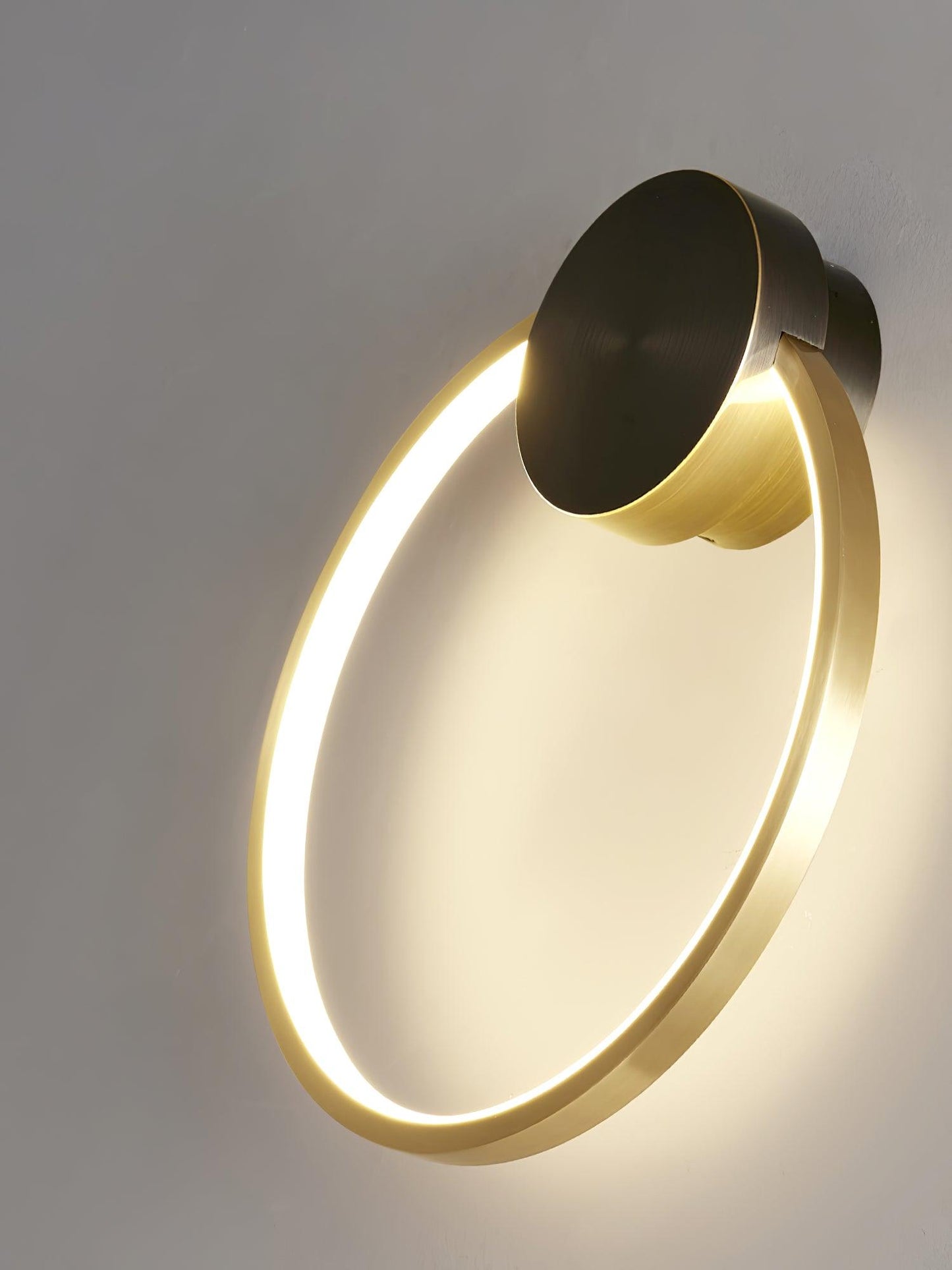 Ring Shaped LED Bracket light Wall Light