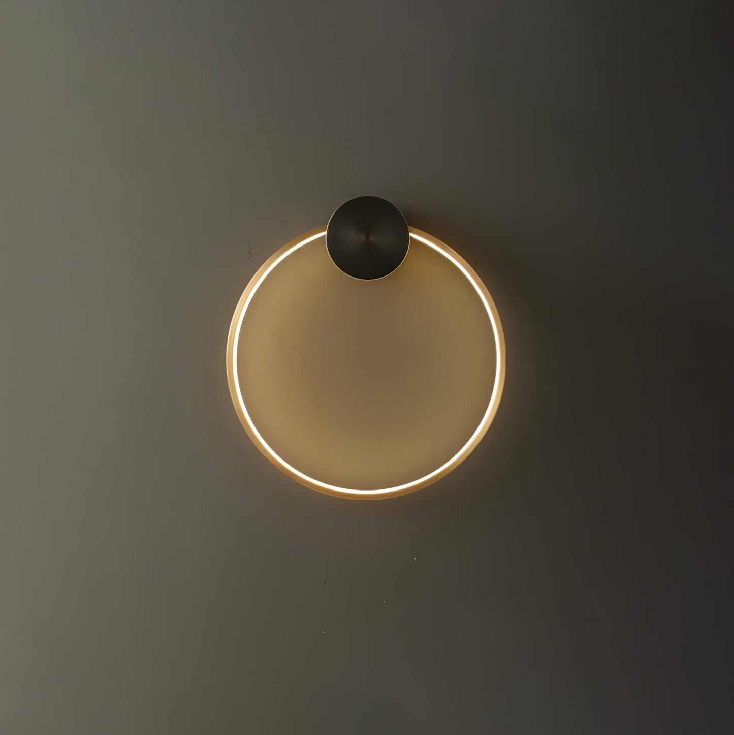 Ring Shaped LED Bracket light Wall Light