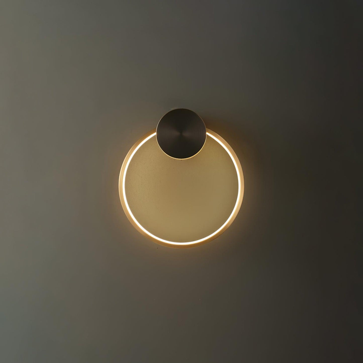 Ring Shaped LED Bracket light Wall Light