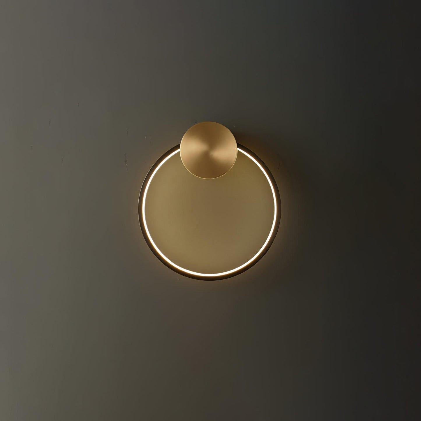 Ring Shaped LED Bracket light Wall Light