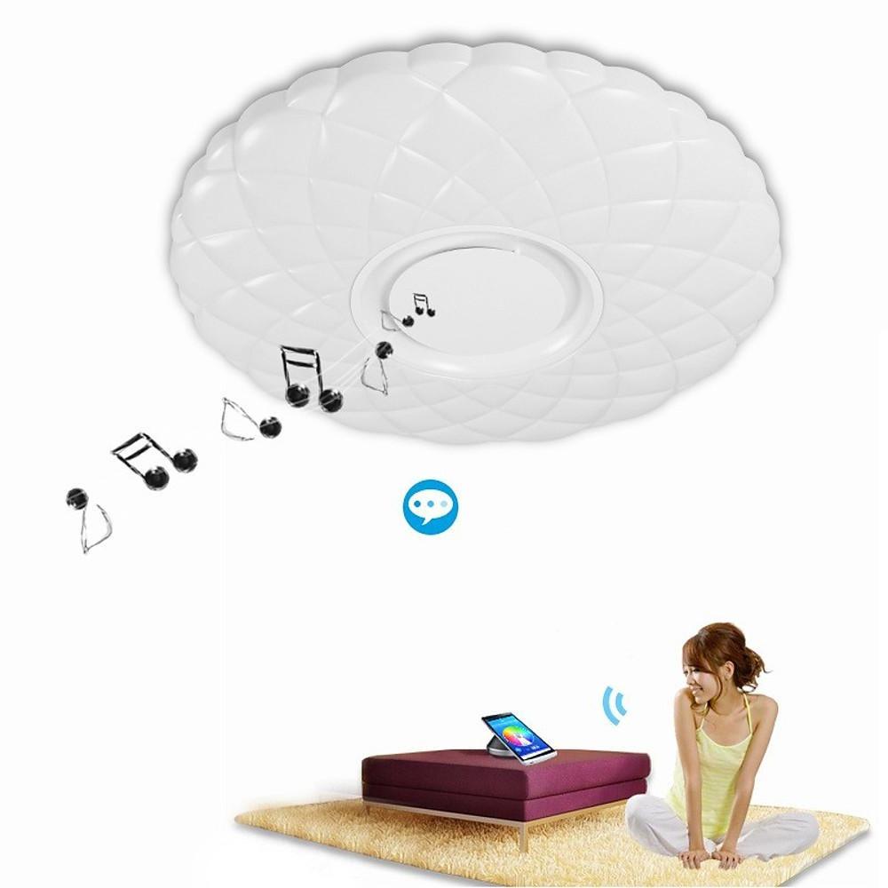 Metal Acrylic Flush Mount Ceiling Light Dimmable Unique LED Light