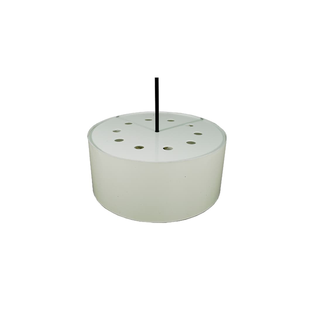 Cilindro 6 Light 36" Wide Pendant