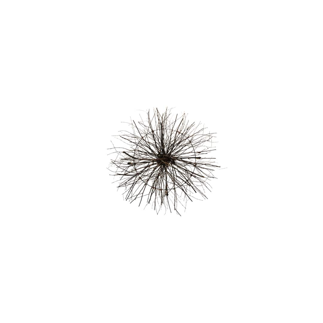 Twigs 4 Light 48" Wide Taper Candle Style Chandelier