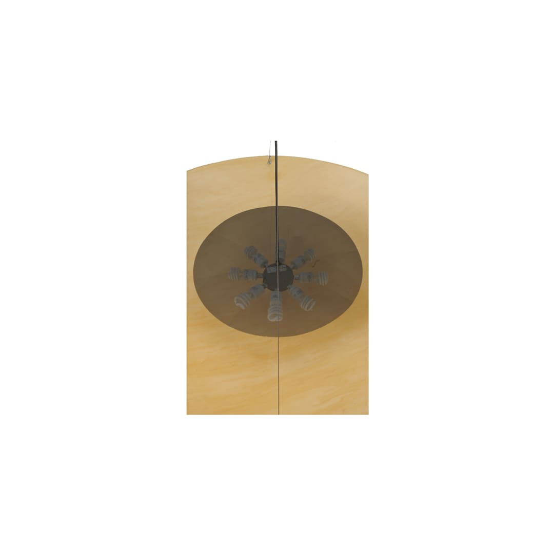 Cypola 8 Light 48" Wide Pendant