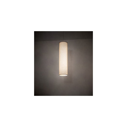Cilindro 2 Light 10" Wide Pendant