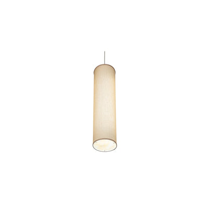 Cilindro 2 Light 10" Wide Pendant