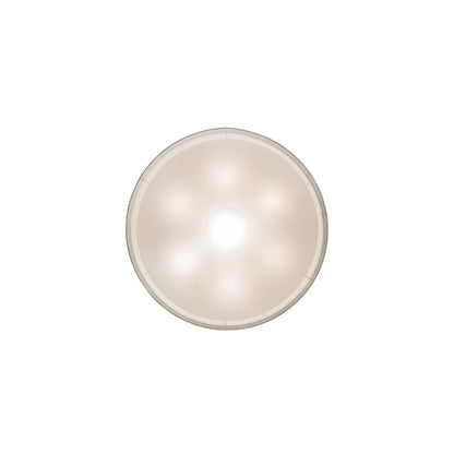 6 Light 48" Wide Pendant
