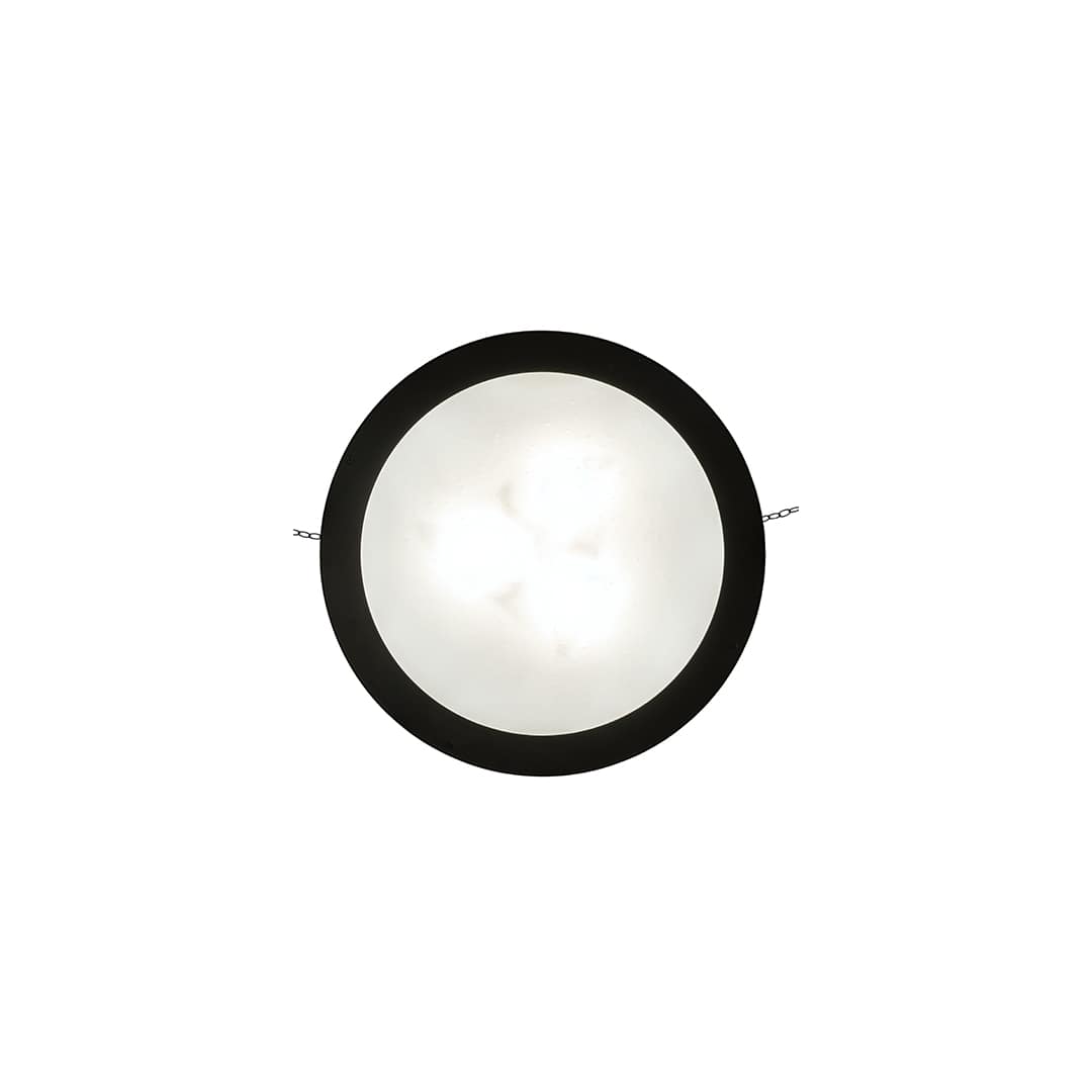 6 Light 24" Wide Pendant