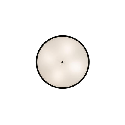 4 Light 36" Wide Pendant