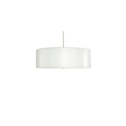 4 Light 42" Wide Pendant