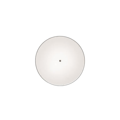 6 Light 36" Wide Pendant
